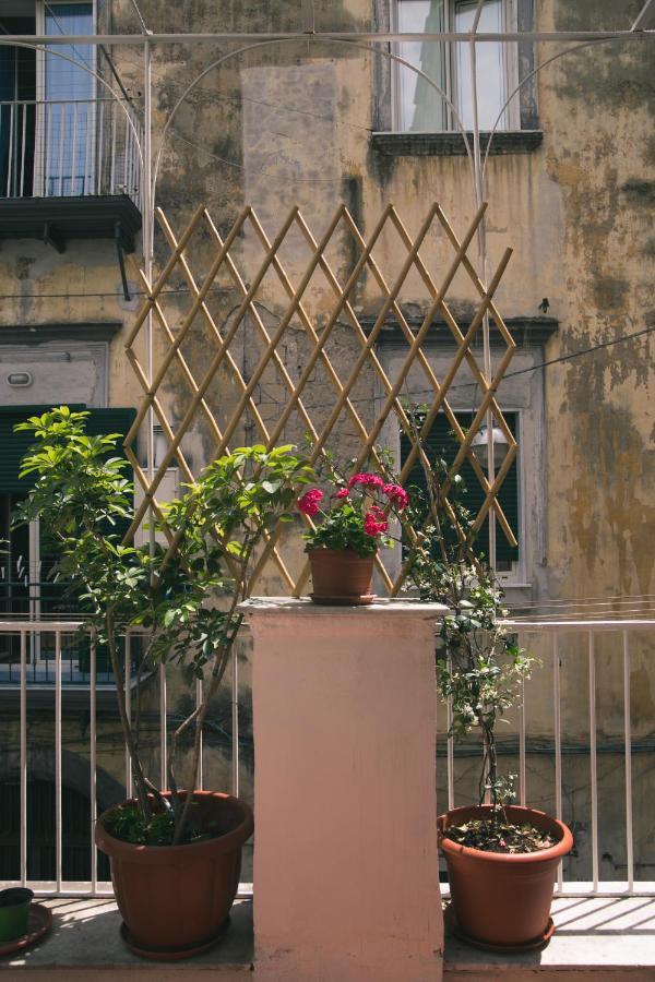 Appartement La Casa Del Nespolo, 2 Terrazzi E 2 Bagni In Centro *