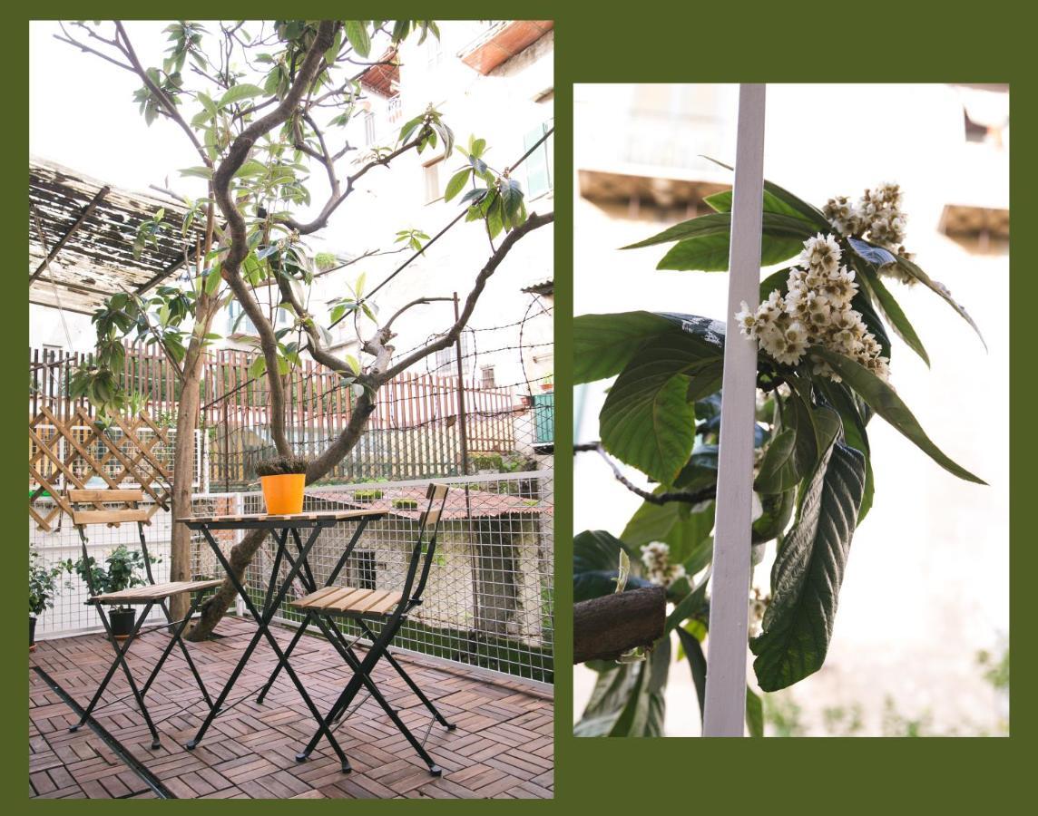 La Casa Del Nespolo, 2 Terrazzi E 2 Bagni In Centro Appartement Napels