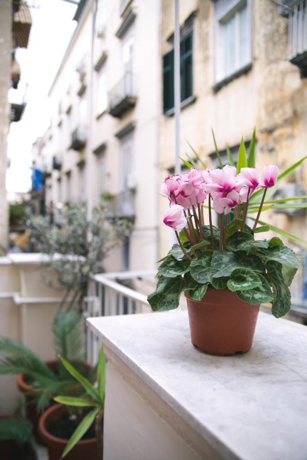 Appartement La Casa Del Nespolo, 2 Terrazzi E 2 Bagni In Centro